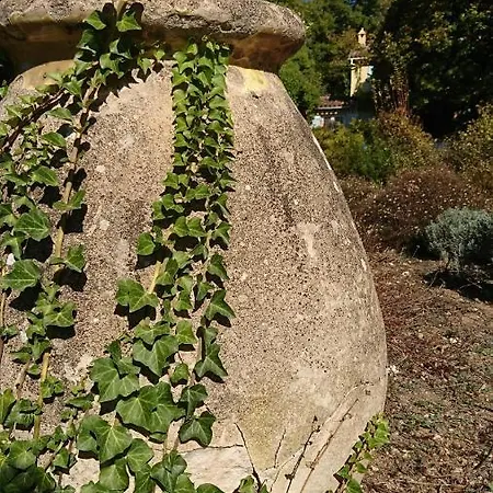 Domaine Des Tilleuls D'or * Saint-Cézaire-sur-Siagne