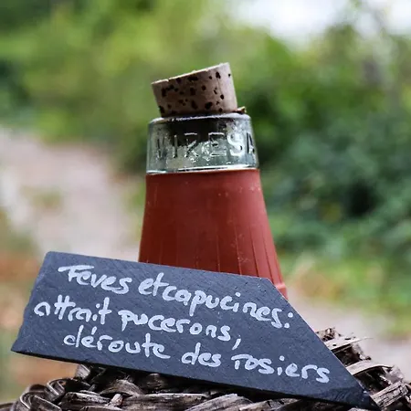 Domaine Des Tilleuls D'or * Saint-Cézaire-sur-Siagne
