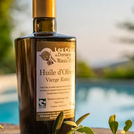 Domaine Des Tilleuls D'or Saint-Cézaire-sur-Siagne
