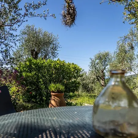 Domaine Des Tilleuls D'or Venkovský dům Saint-Cézaire-sur-Siagne